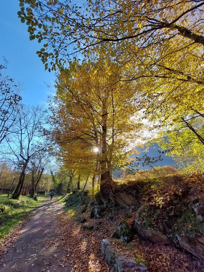 Villaggio Turistico Il Lago Dorato Carlazzo Buitenkant foto