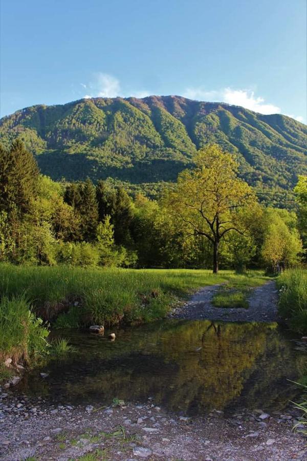 Villaggio Turistico Il Lago Dorato Carlazzo Buitenkant foto